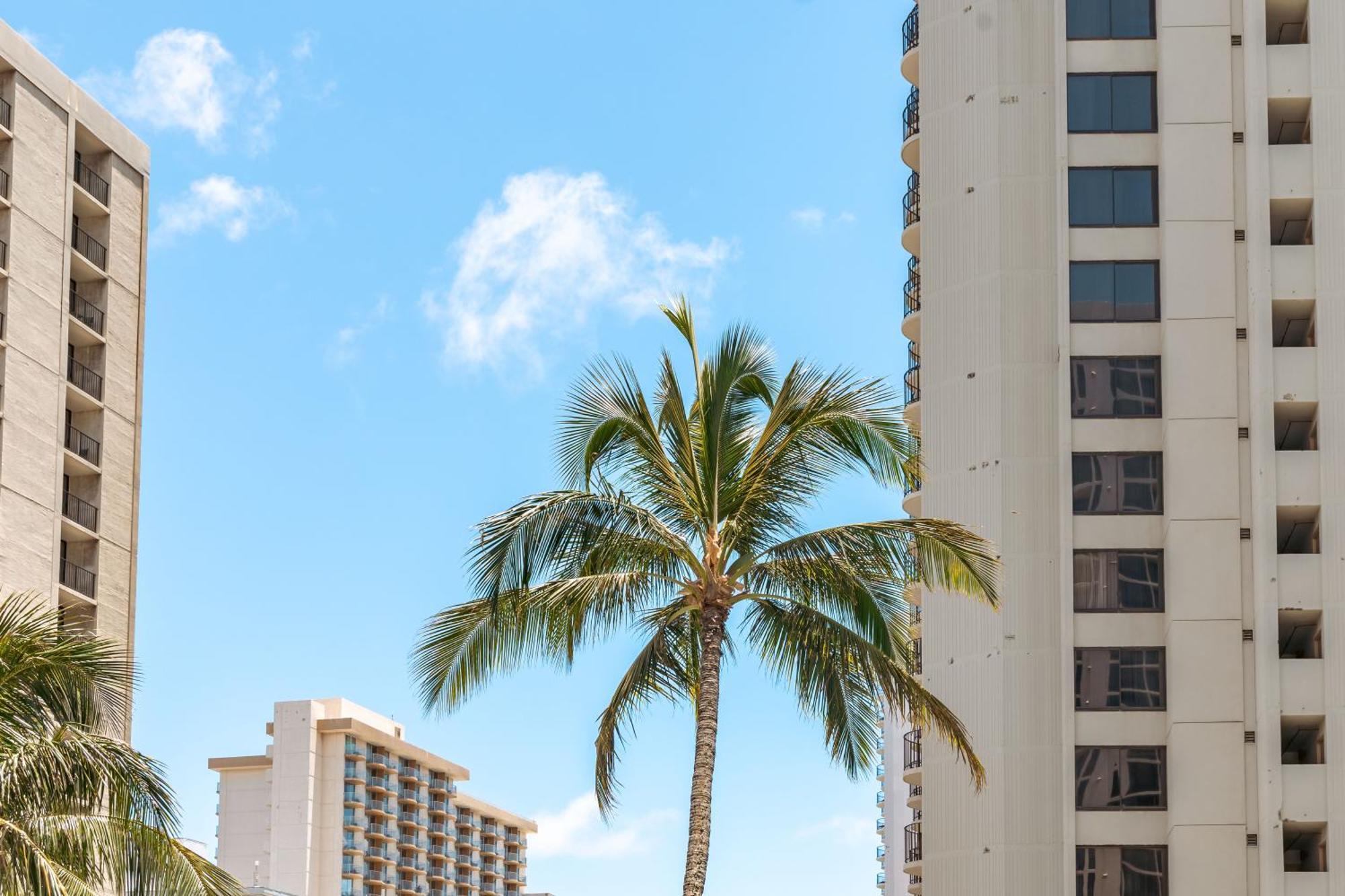Ocean & Diamond Head Views - Near Beach - Parking! Honolulu Buitenkant foto