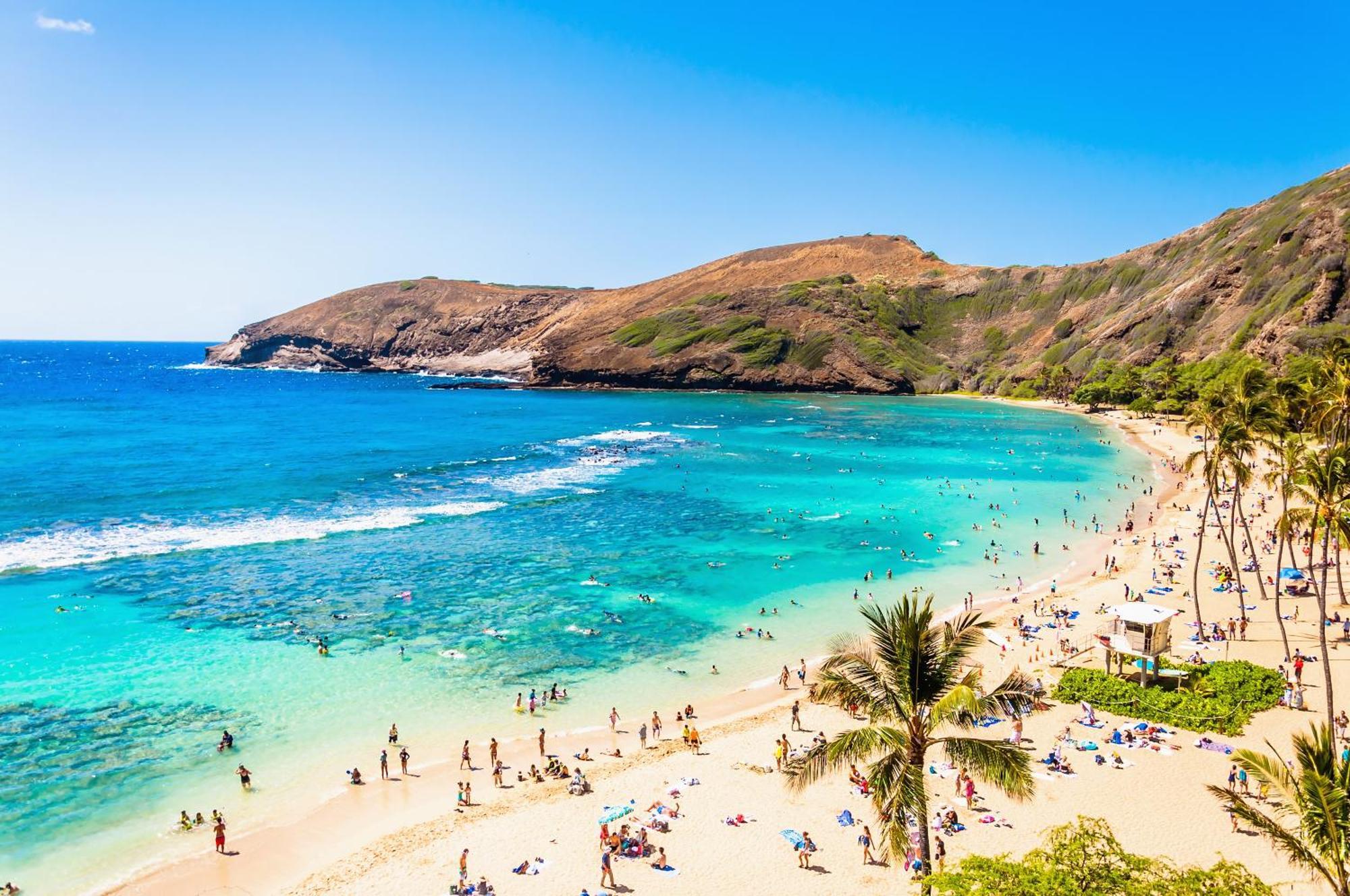 Ocean & Diamond Head Views - Near Beach - Parking! Honolulu Buitenkant foto